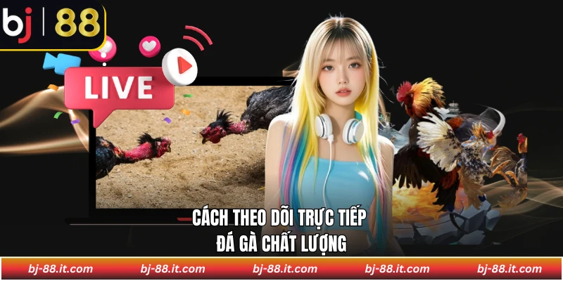 Cách theo dõi trực tiếp đá gà chất lượng