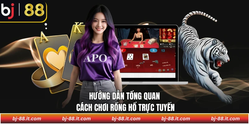Hướng dẫn tổng quan cách chơi rồng hổ trực tuyến