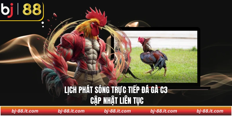 Lịch phát sóng trực tiếp đá gà C3 cập nhật liên tục
