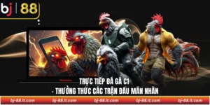 Trực tiếp đá gà C1